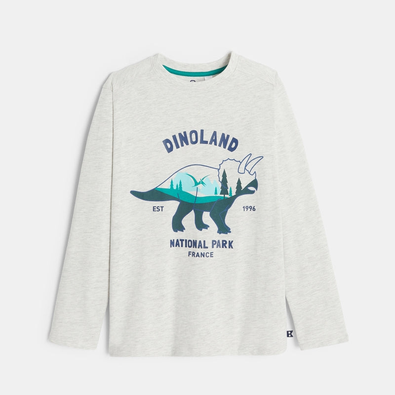 Boys dinosaur motif long sleeve t-shirt