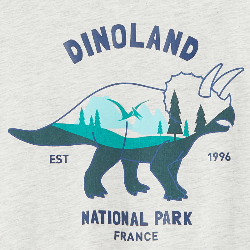 Boys dinosaur motif long sleeve t-shirt